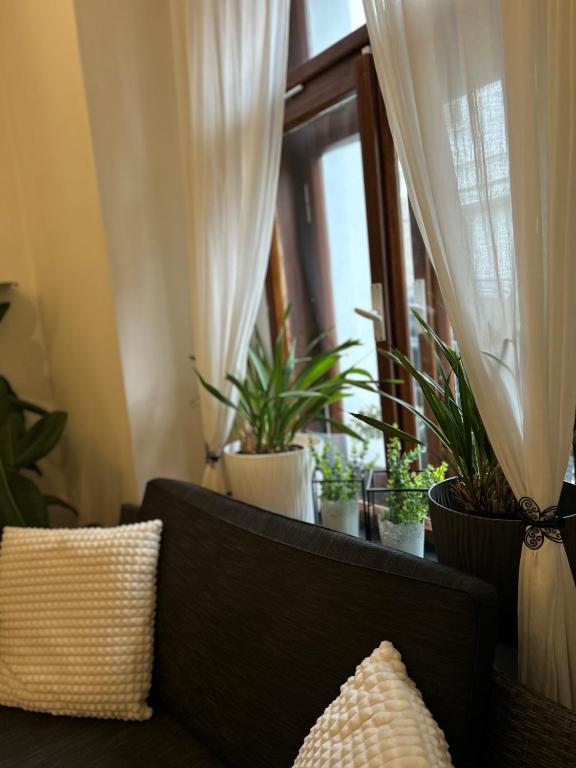 a couch sitting in front of a window with plants at Apartmány PARK in Klášterec nad Ohří