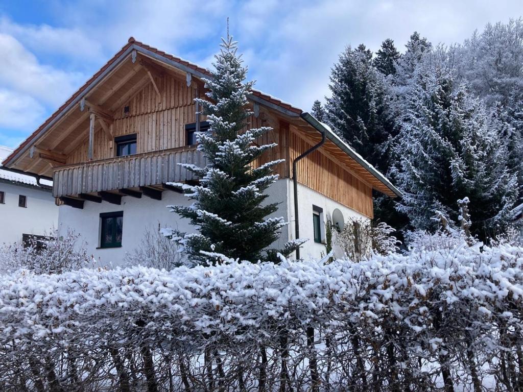 a house with a wooden roof in the snow at Schweizer Häusl in Bayerisch Eisenstein