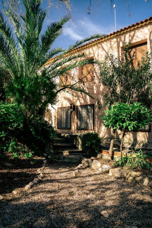 a house with a palm tree in front of it at Finca Vitoria in Moratalla