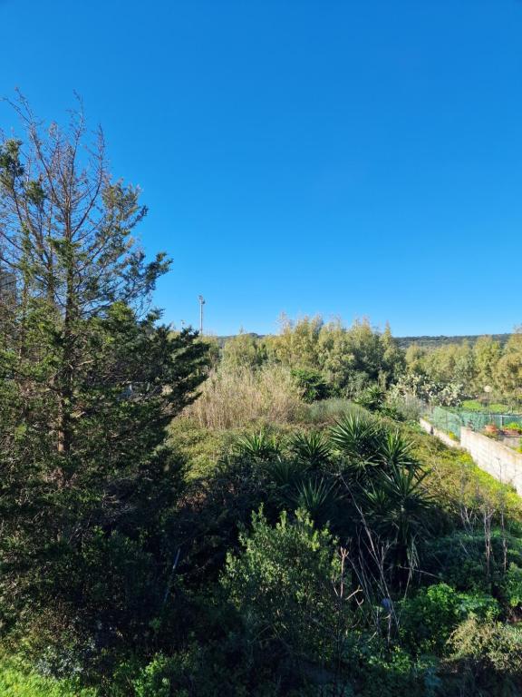 a grassy hill with trees and a blue sky at Il Mirto, Residenza Privata in Bacu Abis