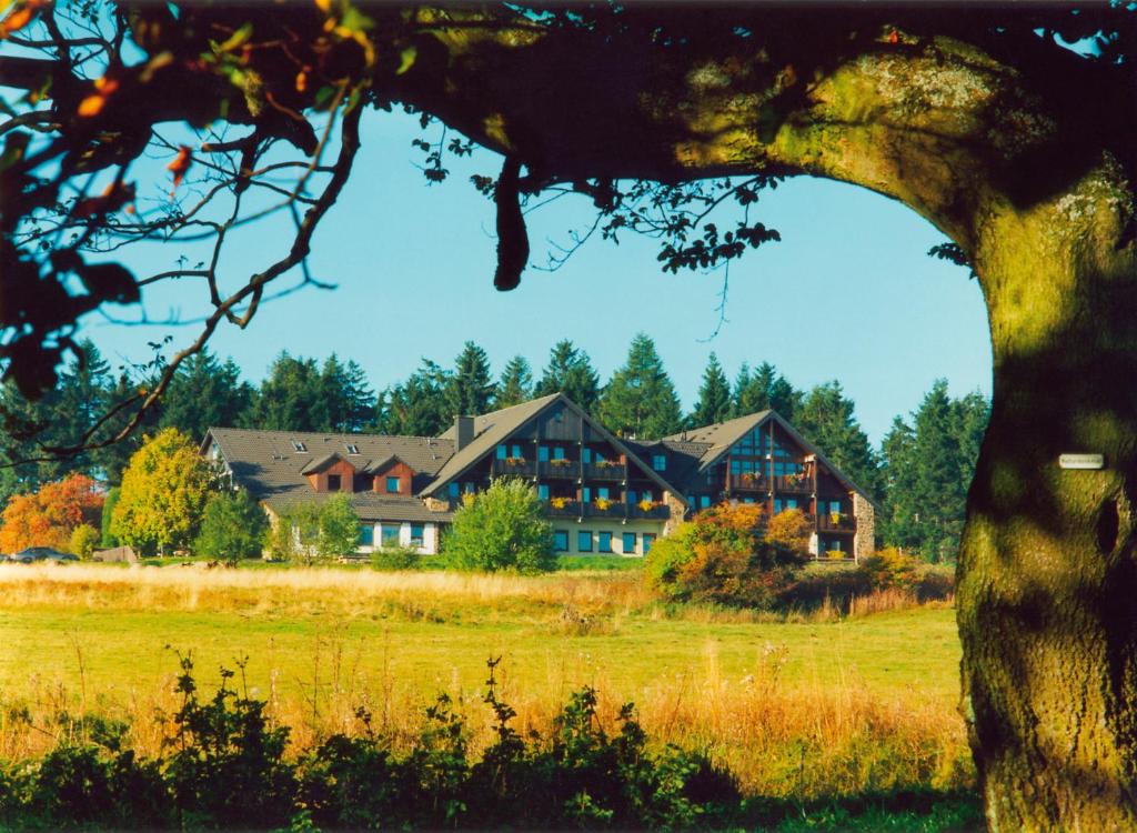 Příroda nedaleko hotelu