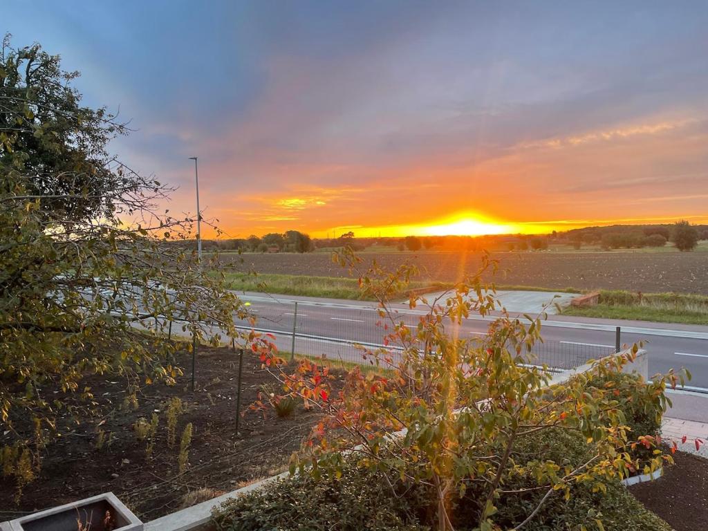 a view of a road with the sunset in the background at Klein Vloethemnest in Zedelgem