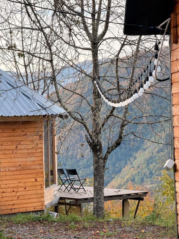 a log cabin with a picnic table next to a tree at Panoramic Wood Cabin in Itʼkhvisi
