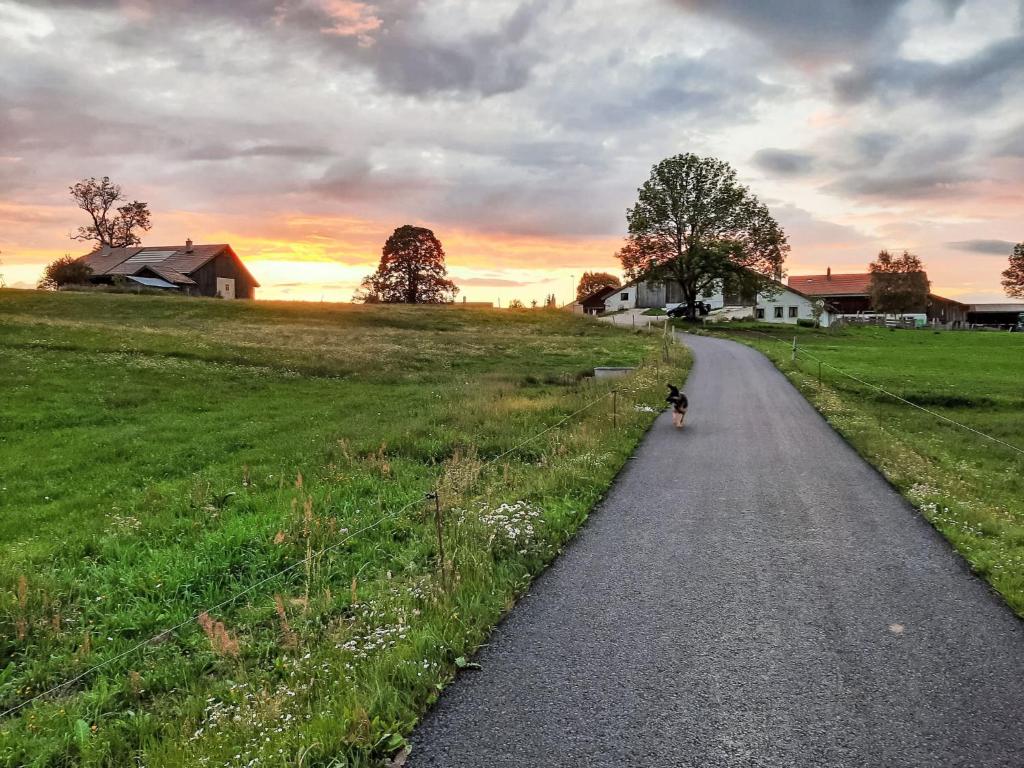 Apartment Les Grangettes by Interhome