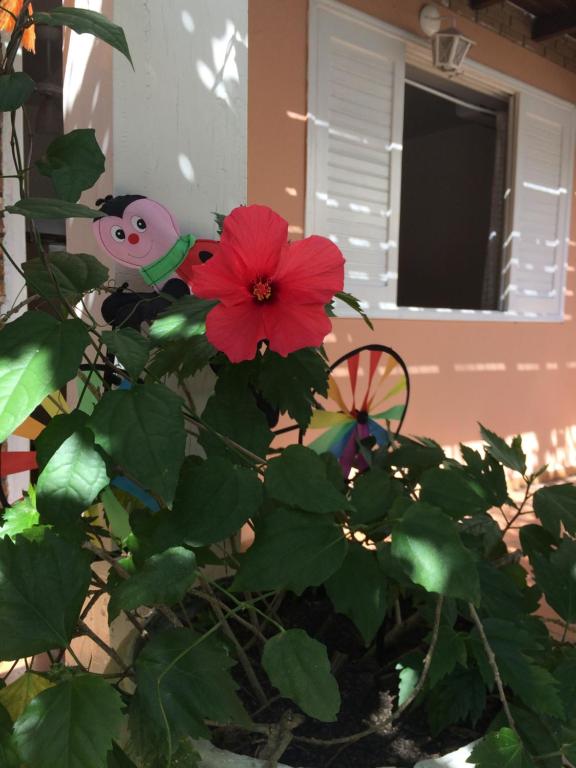  Kitchenette Charmosa no Itagua