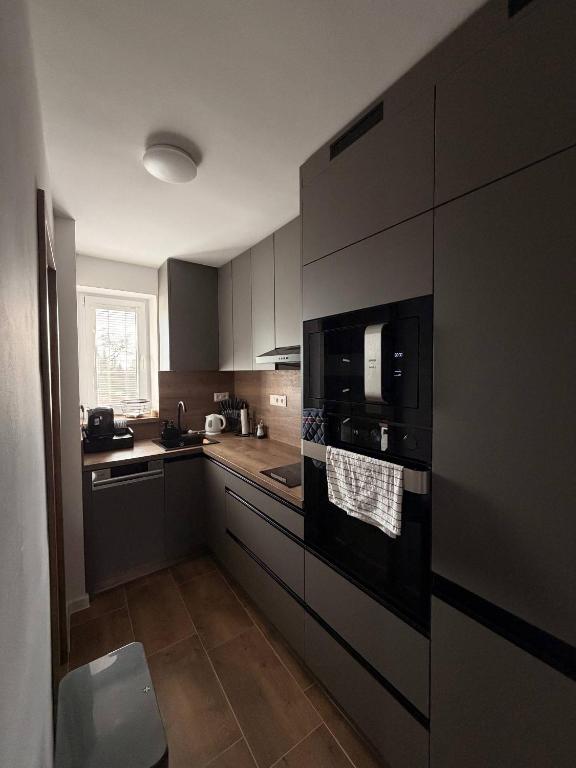 a kitchen with gray cabinets and a black appliance at Lipa Apartmán in Tlmače