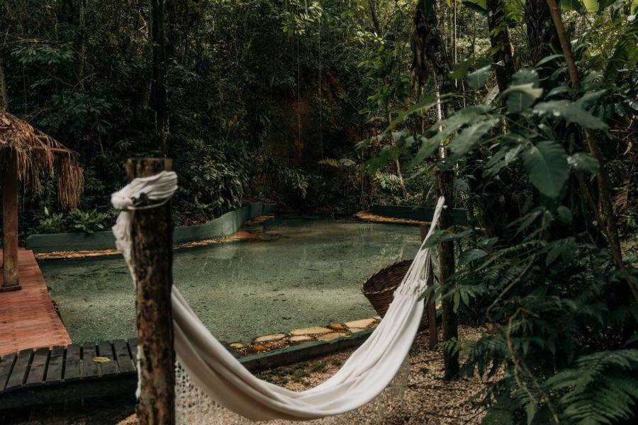 a hammock in the middle of a forest at Jardim da Amazônia Lodge in Sao Jose do Rio Claro