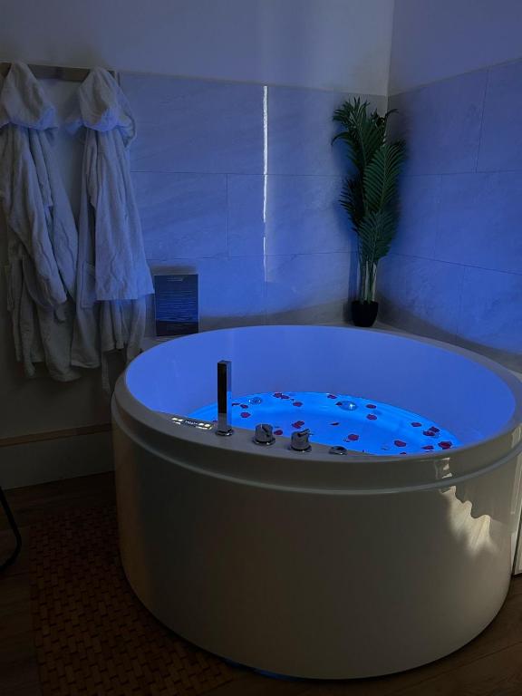 a large bath tub in a room with a plant at Dodo Créole in Laval