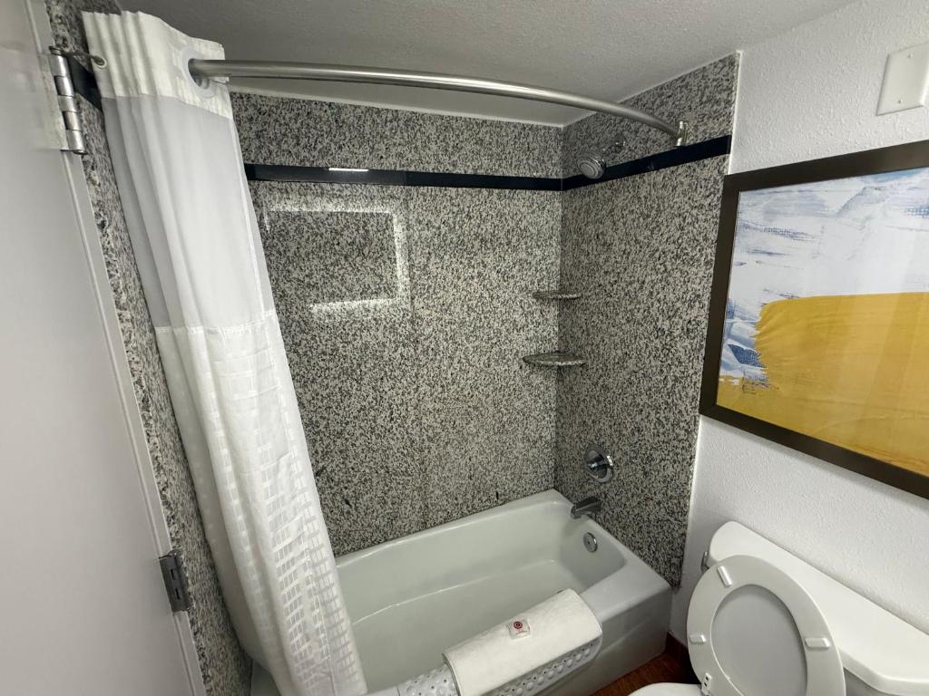 Comfort Inn Conover-Hickory photo