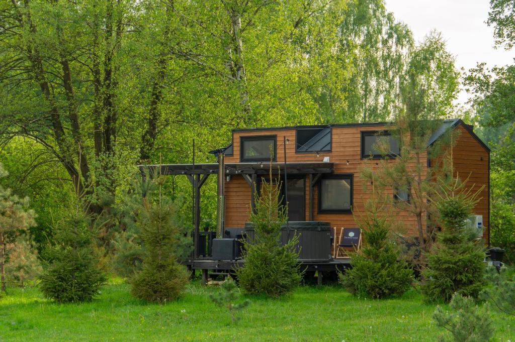 a wooden cabin in the middle of a forest at Tiny Silent House in Zblewo