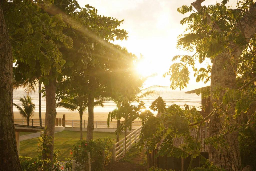 a view of the beach from a resort with trees at Hermosa casita frente al mar en San Jose - Olon in San José