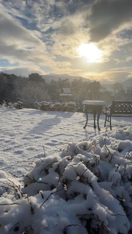 a snow covered field with a bench and the sun in the background at Braeburn Guesthouse in Fort William