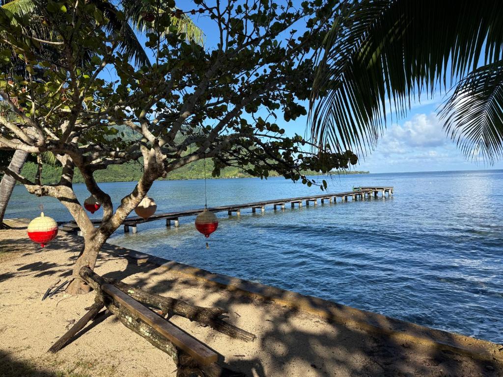 Villa Vaihere - photo 9 - Moorea, Polynésie
