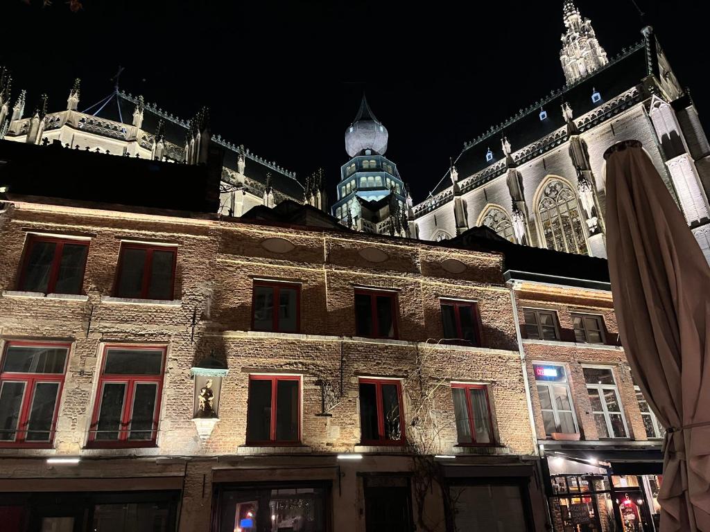 a building with a clock tower in the background at Het Kathedraalhuis Goudblomme in Antwerp