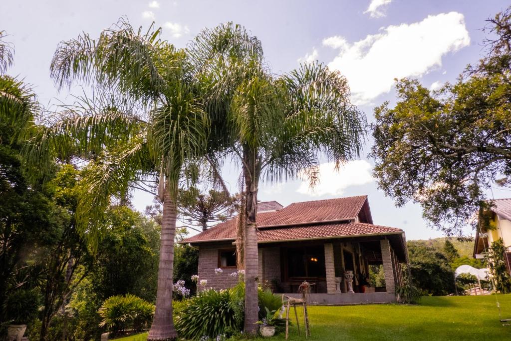 a house with two palm trees in the yard at Loft 73 in Bento Gonçalves