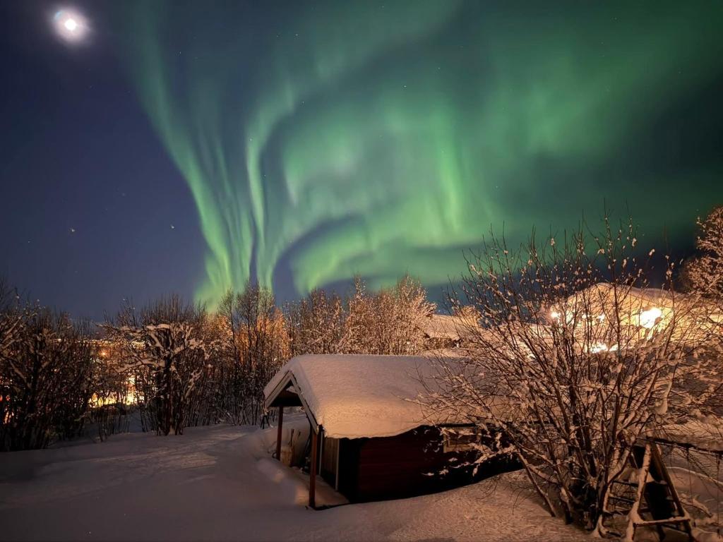an aurora over a building with snow and trees at Warm and cosy apartment in Tromsø