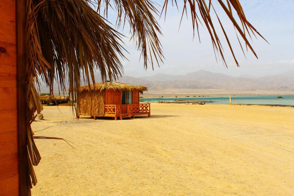 a small hut on a beach with the ocean at Dagal Camp - دجل كامب in Sharm El Sheikh