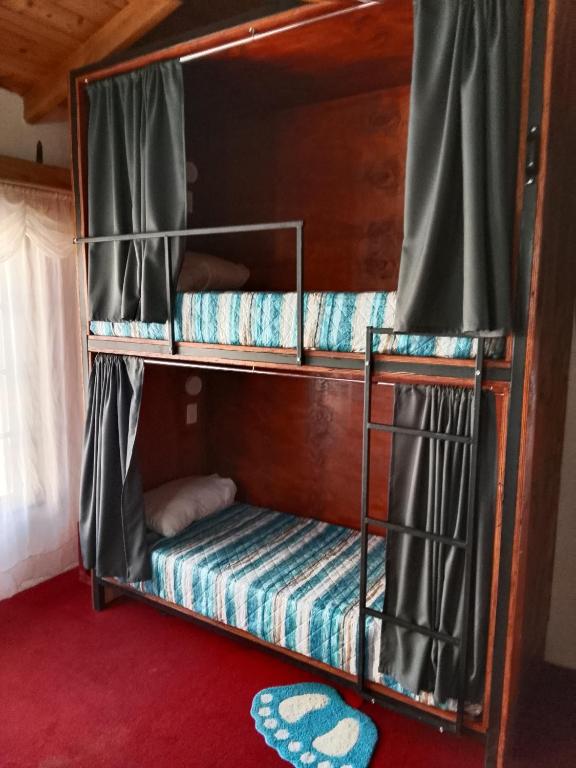 two bunk beds in a room with a red carpet at Hostel Küyen Mapu in Comodoro Rivadavia