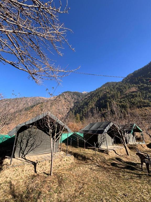 a group of tents with mountains in the background at Paradise Camping Apple Orchard in Manīkaran