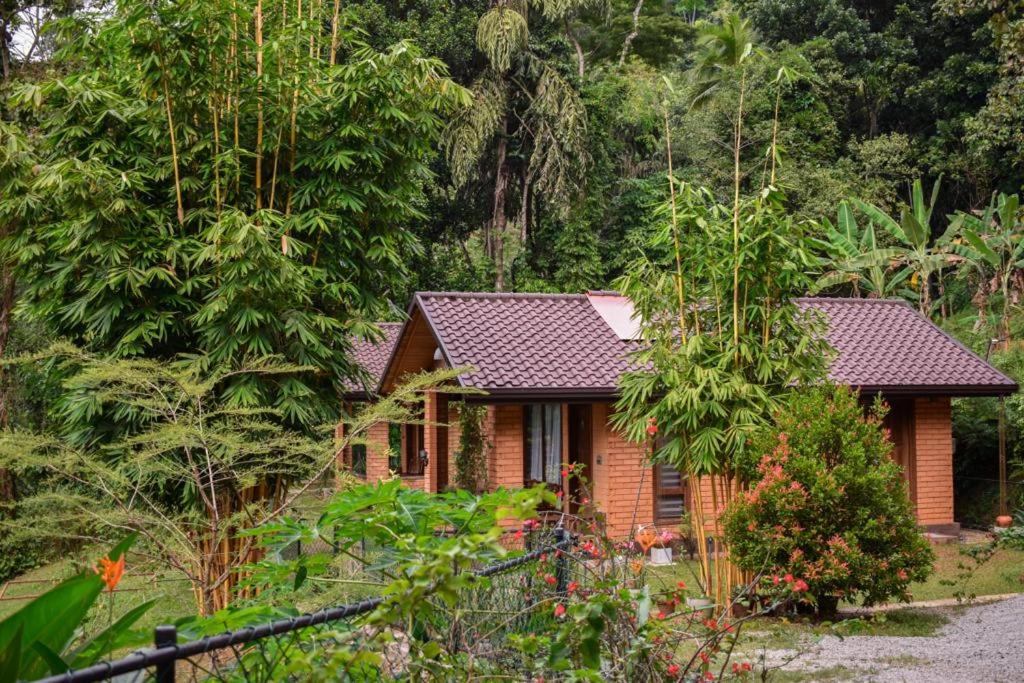 a small house in the middle of a forest at Mangi's Tranquil Bangalows in Pinnawala