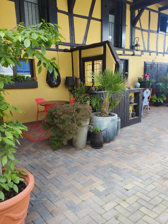 a courtyard with potted plants in a building at Fank'House in Guémar