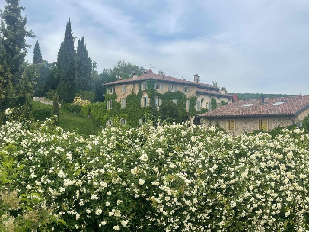 Ca' del Buso Cottage