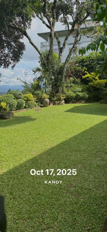 a picture of a lawn with a house in the background at Kandy summerhill bungalow in Kandy