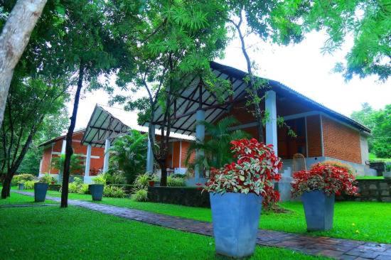 a house with two large vases with flowers in front of it at Villa viverra in Polonnaruwa