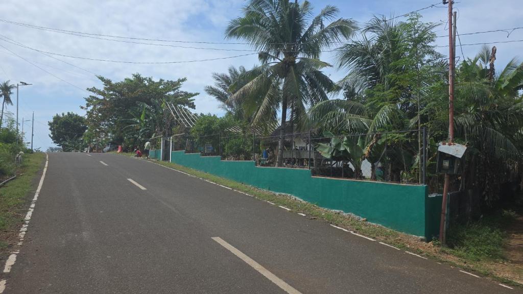 an empty road with a green fence and palm trees at Wallace and Gromit's in Siquijor