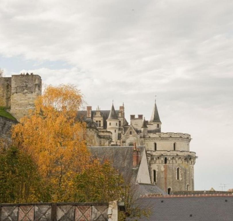 Relais d'Amboise - The Leading Hotels of the World - Quarto Duplo Deluxe Com Vista Castelo