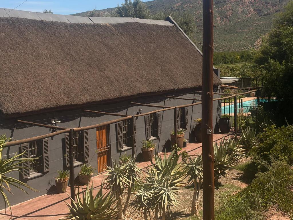 a house with plants in front of it with a roof at Soeterus Guest Farm in Calitzdorp