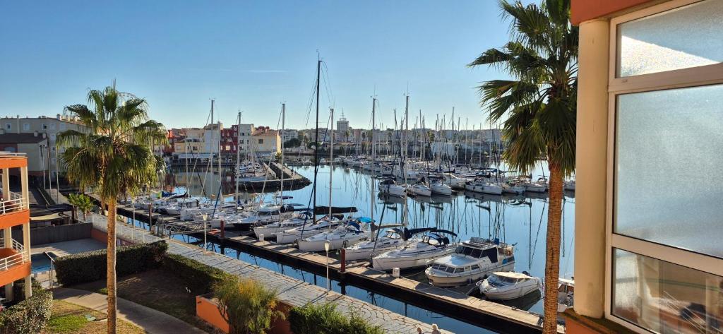 Le Matago A37, studio superbe vue port, clim, parking