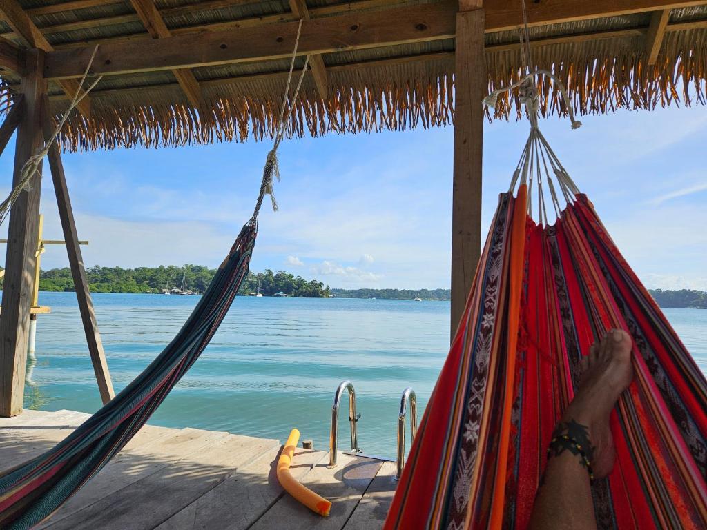 a person laying in a hammock on a beach at Tio Toms Guesthouse in Bastimentos