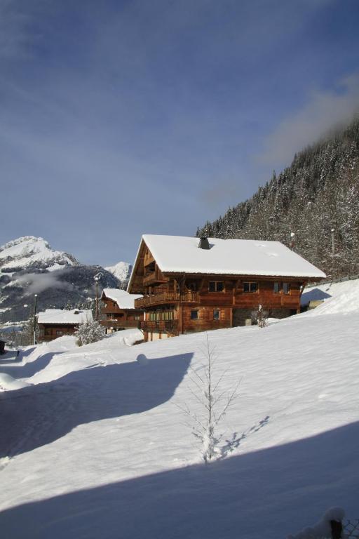 Bois Neige