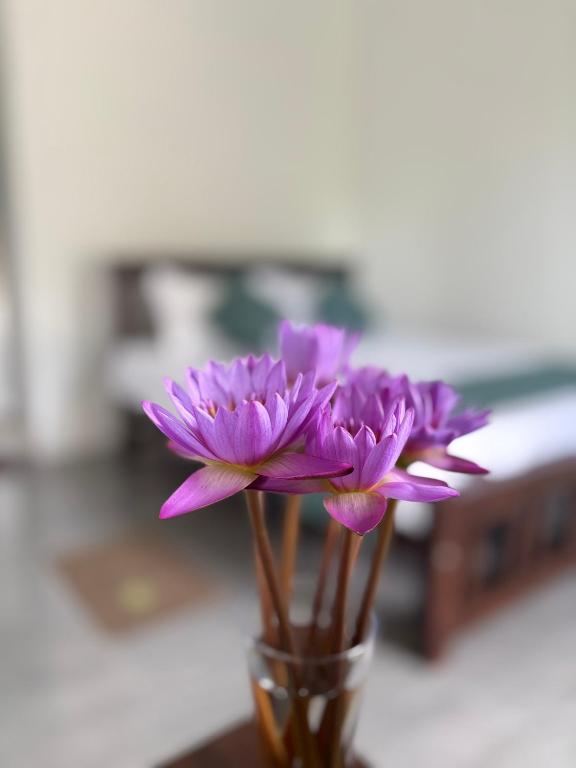 a group of purple flowers in a glass vase at Diyathna Nuwarawewa in Anuradhapura