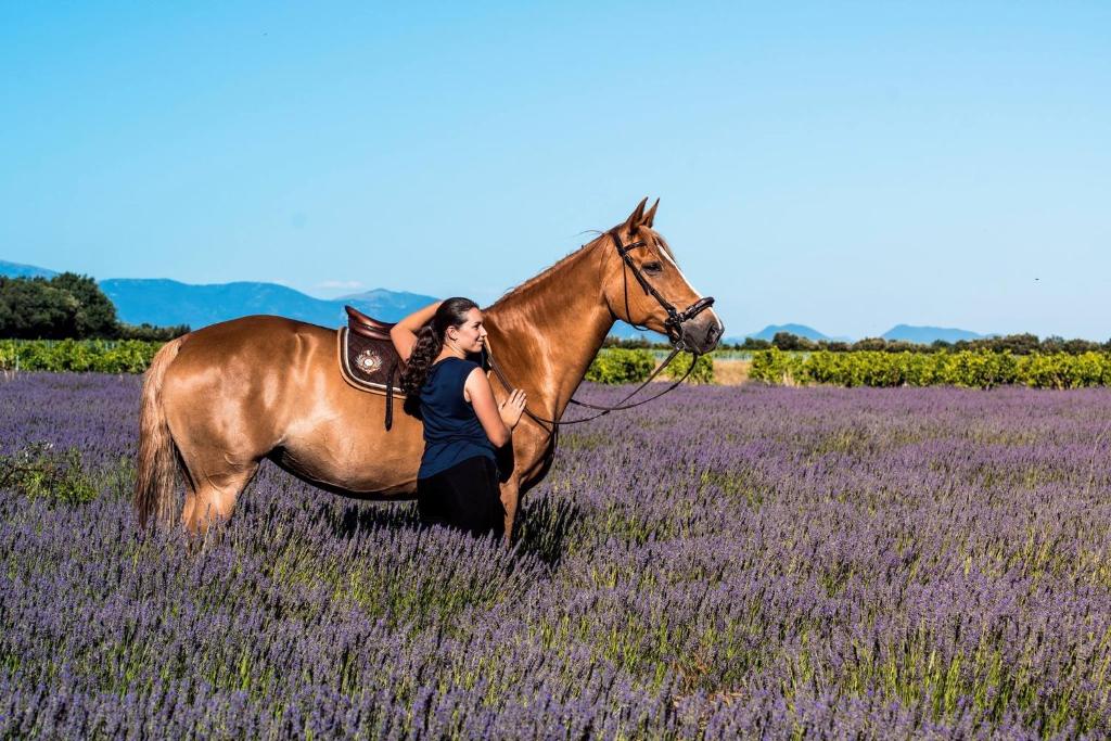 a woman standing next to a brown horse in a field at Gîte du Poney Fringant in Saint-Paul-Trois-Châteaux