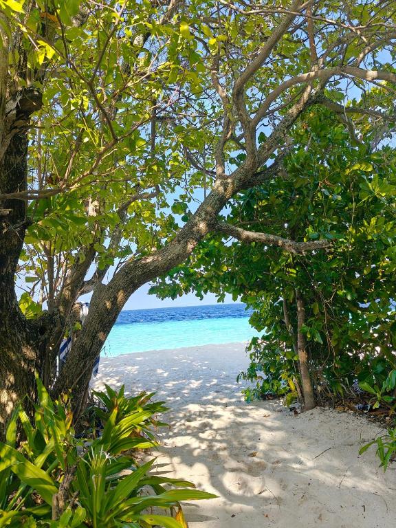 Karanka Villa @ Mahibadhoo - View 9