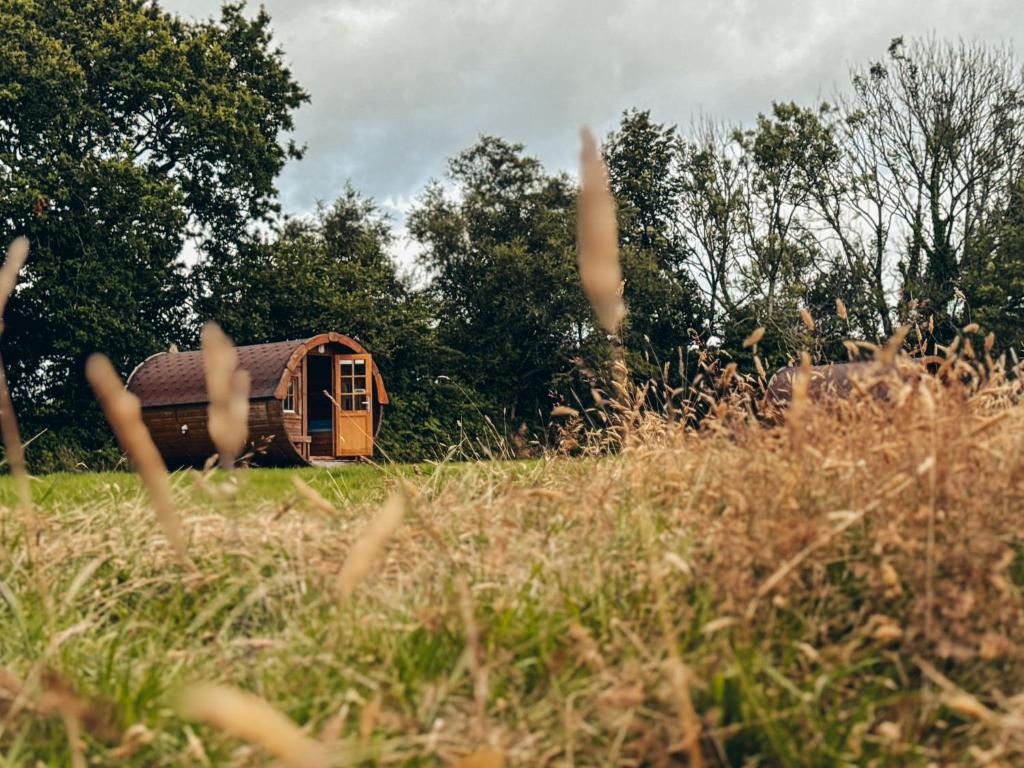 a small house in a field of tall grass at Barrel Cabin 2 in Trethurgy