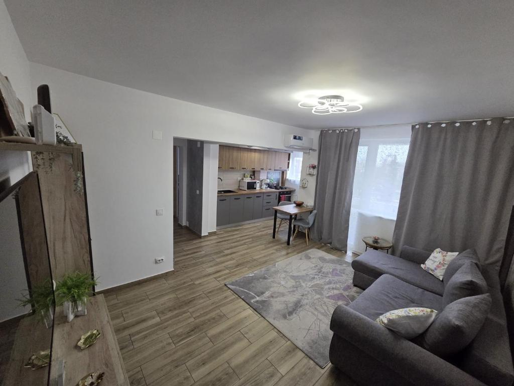 a living room with a couch and a kitchen at NGR Residence in Ploieşti