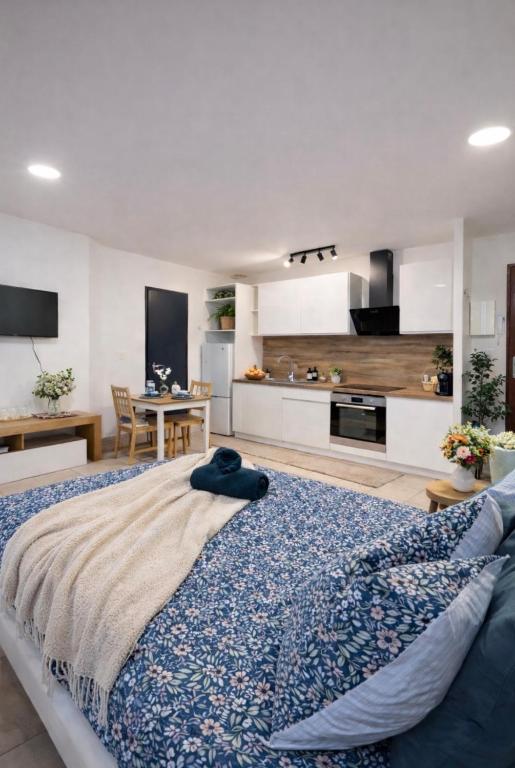 a bedroom with a large bed and a kitchen at La Petite Escale Manosquine in Manosque