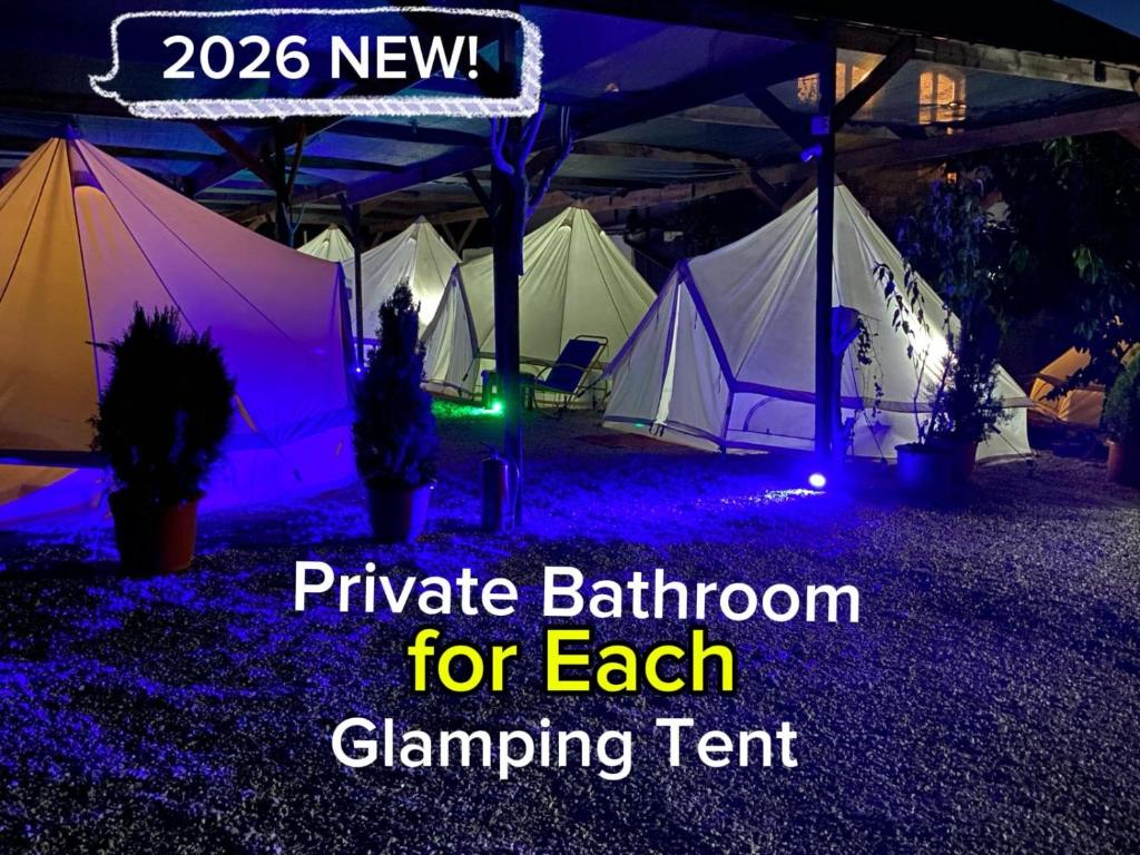 a bunch of tents with purple lights in a field at Aurora Glamping in Vama Veche