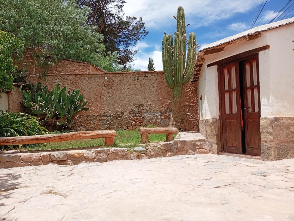 a cactus next to a building with a wooden door at Posada Las Piedras in Tilcara