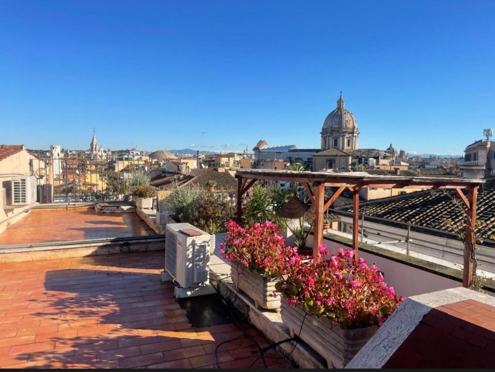 The View of Roma