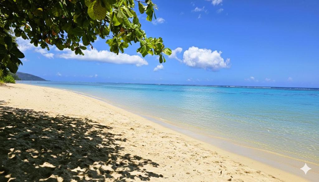 a view of a beach with the ocean at TAHITI - PK18 Beach Cottage in Punaauia