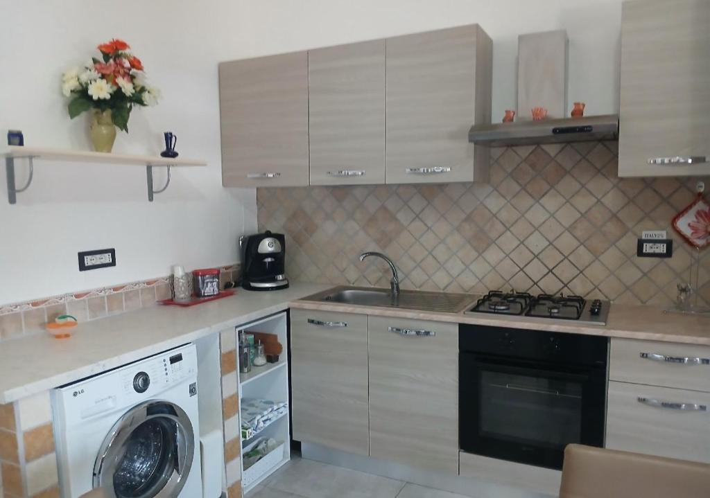 a kitchen with a sink and a washing machine at Il Centro in Tergu