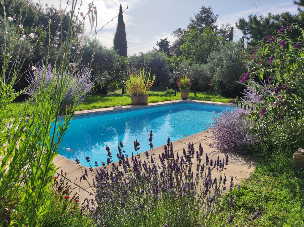 a swimming pool in the middle of a garden at La Janneto in Carpentras