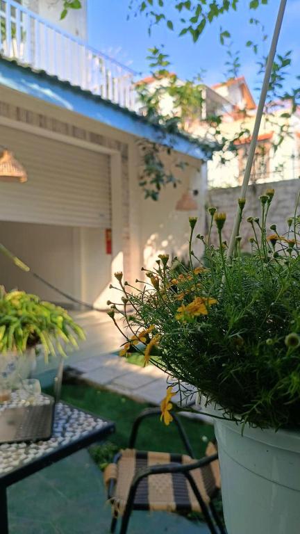a potted plant sitting on top of a balcony at Perla Home in Danang