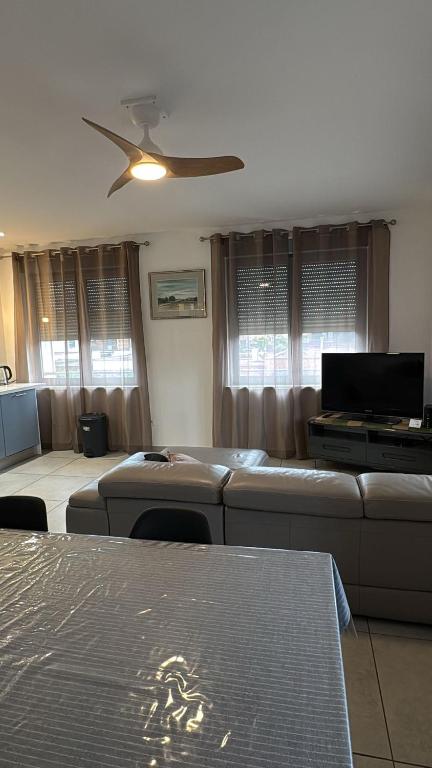 Colmar Gîte des Cotonnades – photo 13