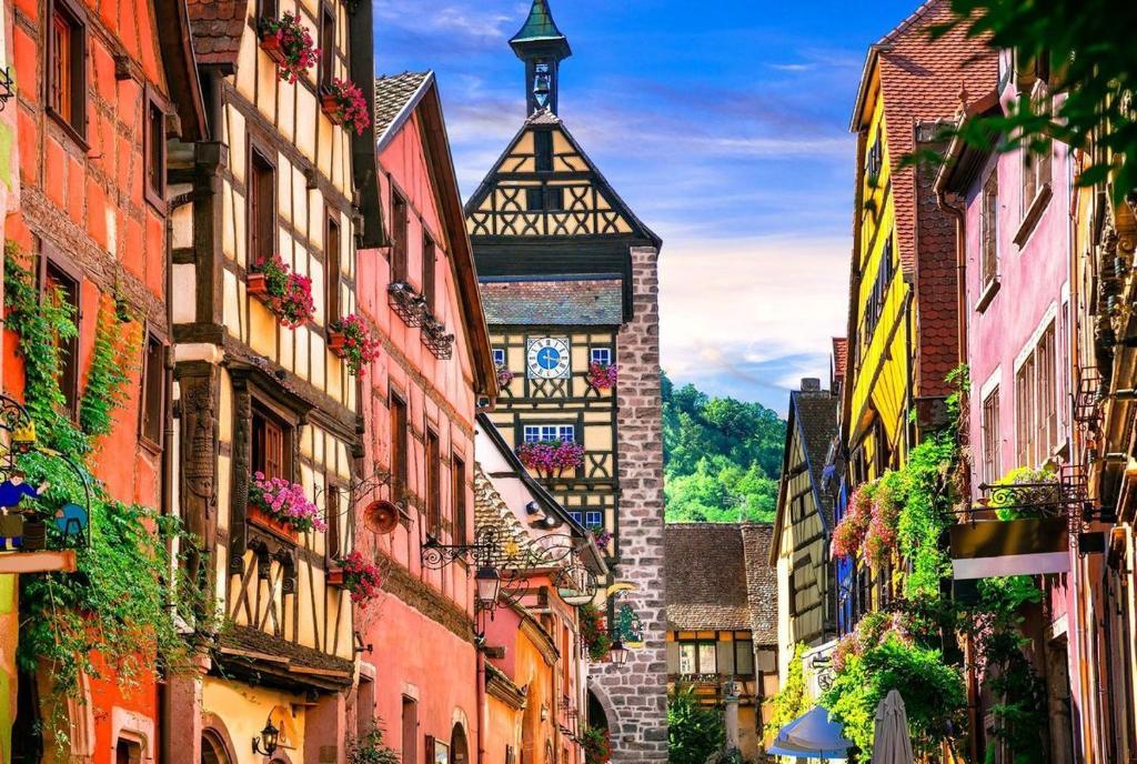 Colmar Gîte des Cotonnades – photo 27