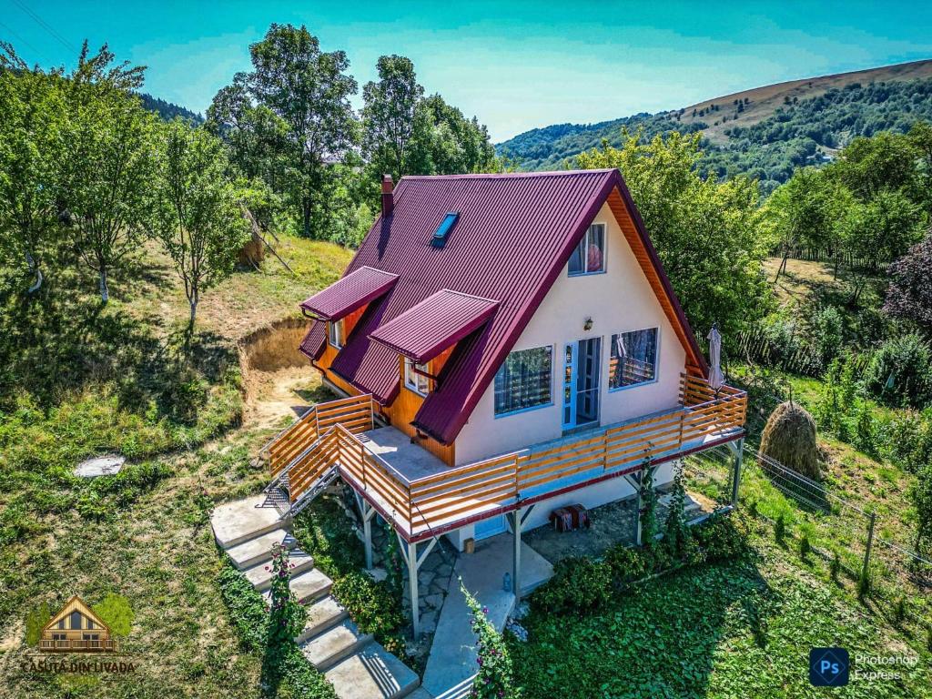 an overhead view of a house with a red roof at Căsuța din livadă in Secăria